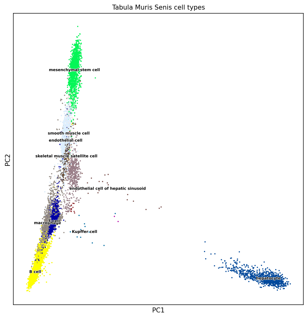 PCA on mouse single-cell transcriptome data. Source: Laura Martens, TUM