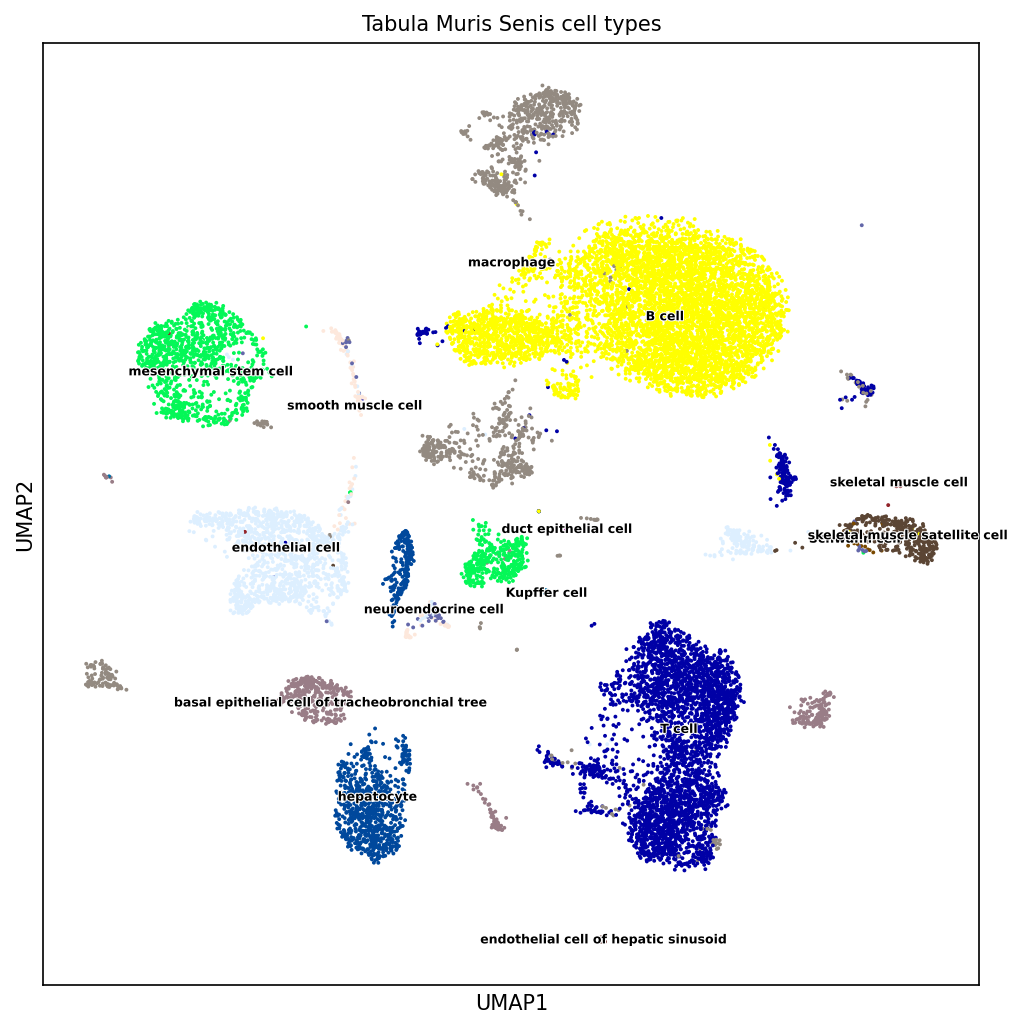 UMAP (non-linear dimension reduction) on mouse single-cell transcriptome data. Source: Laura Martens, TUM